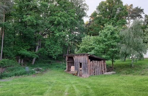 Horsovsky Tyn Apartment | Apartman u lesa