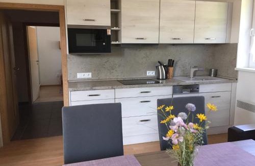 Velke Karlovice Apartment | Apartman U sjezdovky