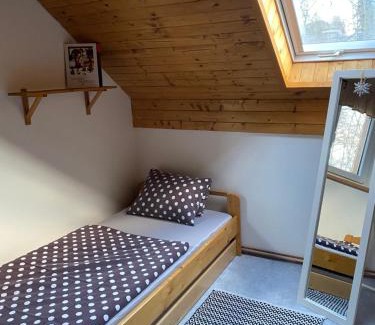 Ceske Petrovice Apartment | Apartman U vleku
