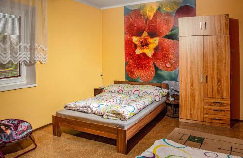 Pribylina Apartment | Apartman ViVi Pribylina