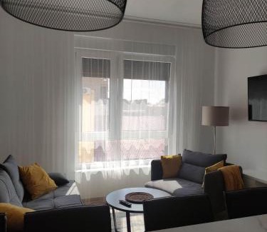 Osijek Apartment | Apartman Waldy