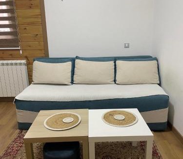 Kolasin Apartment | Apartmani Dino Kolasin