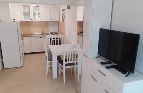 Mrcevac Apartment | Apartmani Roki