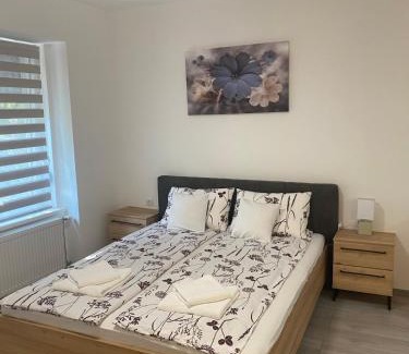 Vrsac Apartment | Apartmani Srce Vršca