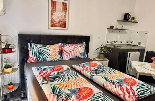Mrcevac Apartment | Apartmani Tamara