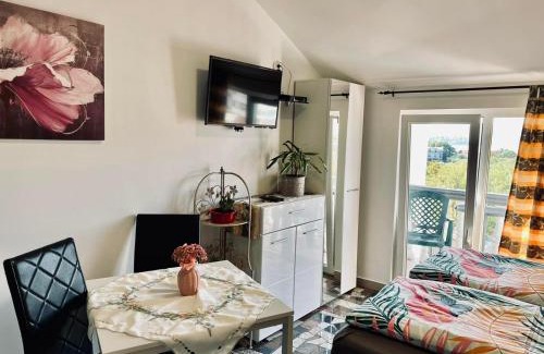 Mrcevac Apartment | Apartmani Tamara