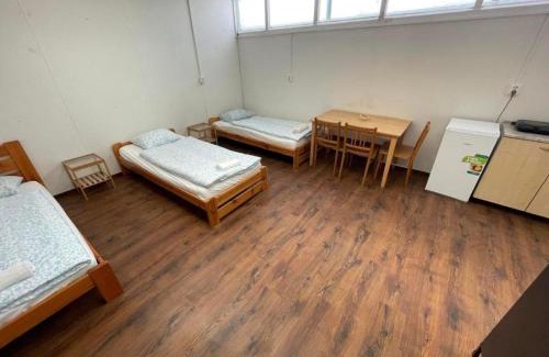 Golcuv Jenikov Apartment | Apartmans Turgenevova - Ostravska with FREE parking