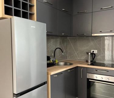 Podmaine Apartment | Apartmant Šofranac