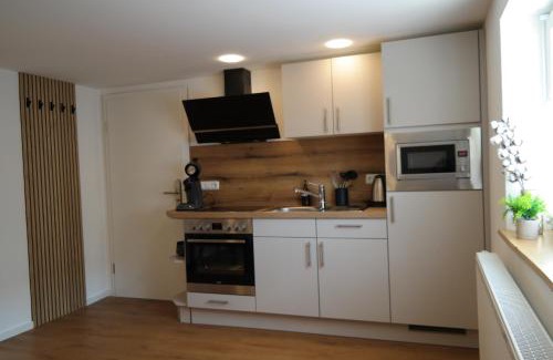 Bad Neustadt an der Saale Apartment | Apartment 67