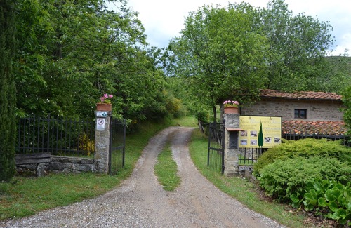 Castelfranco di Sopra Apartment | Apartment with views of the surrounding nature