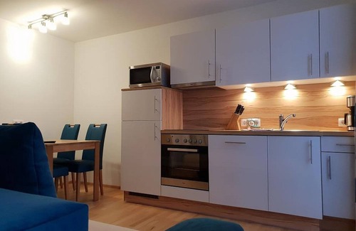 Irdning-Donnersbachtal Apartment | Apartment no. 8 with 1 bedroom/shower - Ferienwohnung Ski-Hans