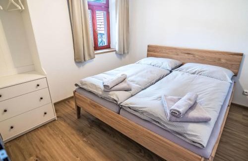 Horni Plana Apartment | Apartment Želnava by Interhome