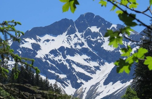 Mittelberg Apartment | Apartment / 2 bedrooms / shower / WC, Nr. 3 - Haus Walser Berge - Family ter Braak