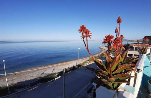 Seccagrande Apartment | "Apartment 4- 5 places" with terrace by the sea, barbecue, chairs, deck chairs.