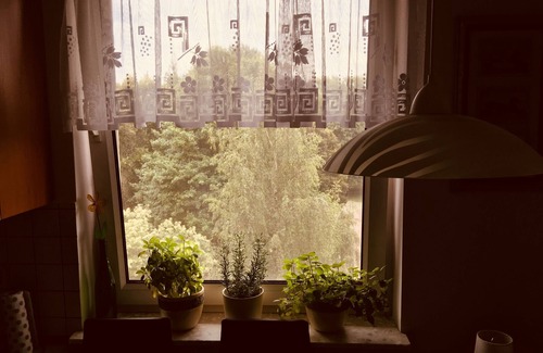 Slupsk Apartment | apartment, 50 M2, 600 meters from city center, nice view on the park