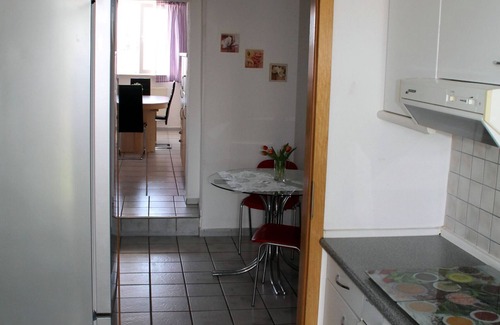 Droyßig Apartment | Apartment (64m²) on the ground floor with terrace