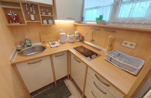 Bad Mitterndorf Apartment | Apartment Almblick