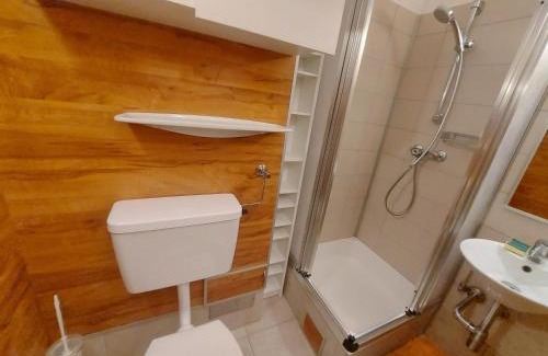 Bad Mitterndorf Apartment | Apartment Almblick