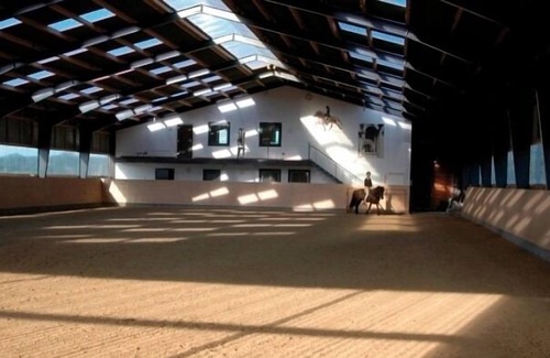 Osterby Apartment | Apartment / app. for 2 guests with 60m² in Osterbyholz (1295)