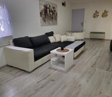 Vinkovci Apartment | Apartment Aria