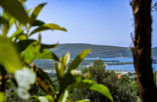 Mrcevac Apartment | Apartment Arija