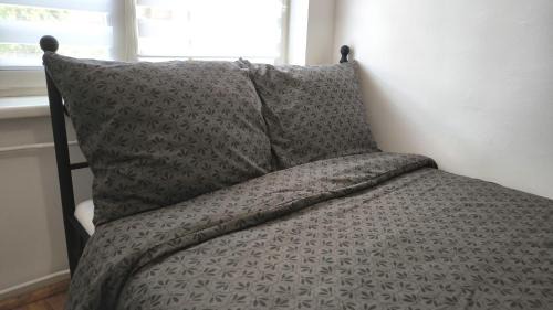 Bolkow Apartment | Apartment at Leszego