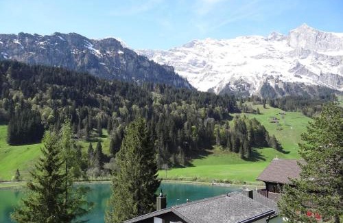 Engelberg Apartment | Apartment Aurora by Interhome