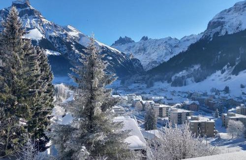 Engelberg Apartment | Apartment Aurora by Interhome