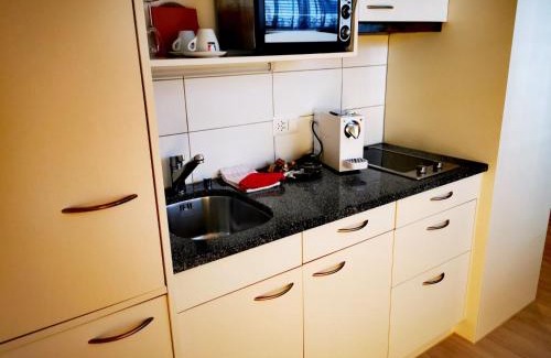 Thun Apartment | Apartment B&B am Berntor by Interhome