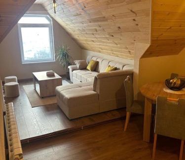 Poscenje Apartment | Apartment Bašović