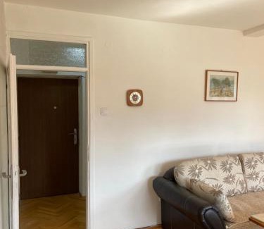 Pluzine Apartment | Apartment BAMBA