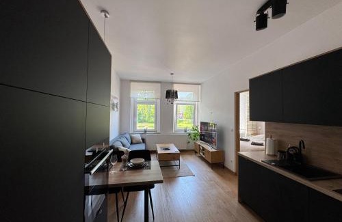 Zgorzelec Apartment | Apartment between the bridges
