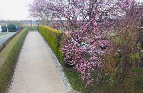 Guestrow Apartment | Apartment Beynio - Apartment Beynio *