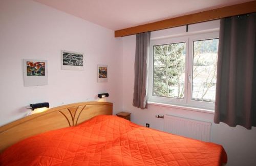 Steinach am Brenner Apartment | Apartment Biegel-Kraus by Interhome