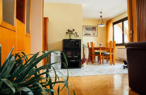 Bovec Apartment | Apartment Bor