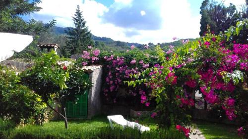 Puerto de Soller Apartment | Apartment Bougainvillea