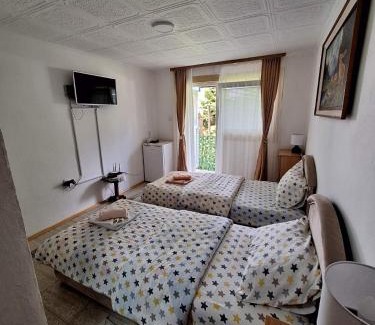 Pluzine Apartment | Apartment Buklija