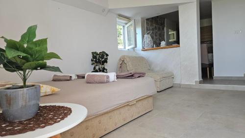 Krimovica Apartment | Apartment Cezar