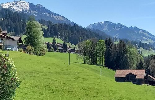 Zweisimmen Apartment | Apartment Crocus by Interhome