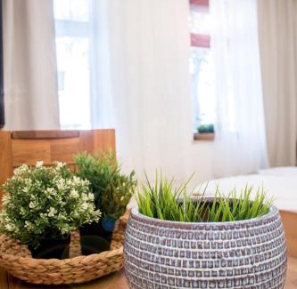 Sonnenberg Apartment | Apartment Dora