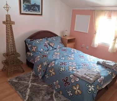 Pluzine Apartment | Apartment DUCA