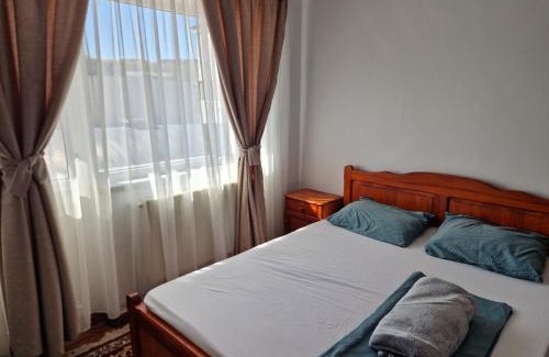 Tirgu Ocna Apartment | Apartment Eleven