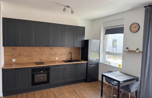 Fabryczna Apartment | Apartment Eukaliptusowa