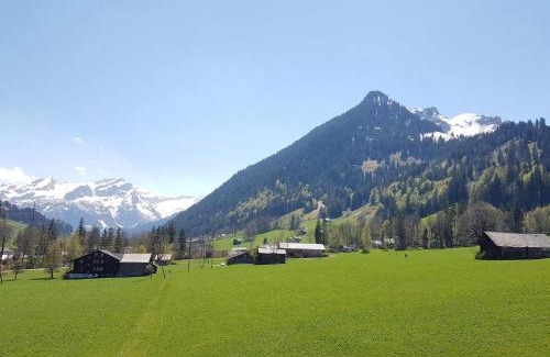 Zweisimmen Nr Gstaad Apartment | Apartment Farfalla by Interhome