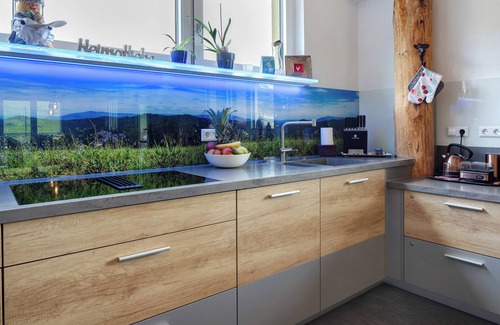 Hofsgrund Apartment | Apartment 'Fewo Schwarzwaldflair Mit Eventraum' with Private Terrace and Wi-Fi