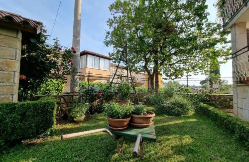 Dajla Apartment | Apartment Felice