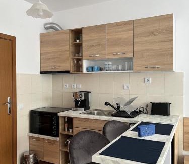 Samokov Apartment | Apartment for rest in Borovets