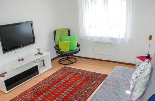 Chironico Apartment | Apartment Gemma by Interhome