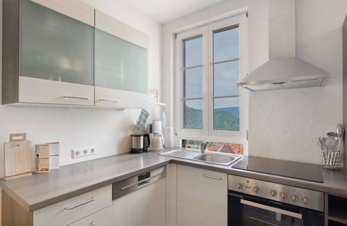 Forbach Apartment | Apartment 'Groß' with Shared Terrace, Shared Garden and Wi-Fi