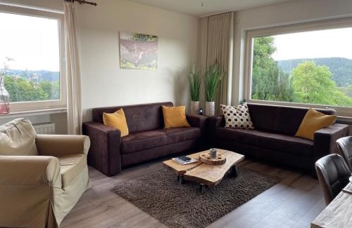 Langewiese Apartment | Apartment Haus Aktiv Panorama